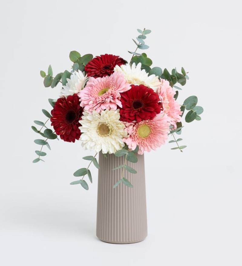 Bej Çizgili Polimer Vazoda Pembe & Beyaz & Kırmızı Gerbera