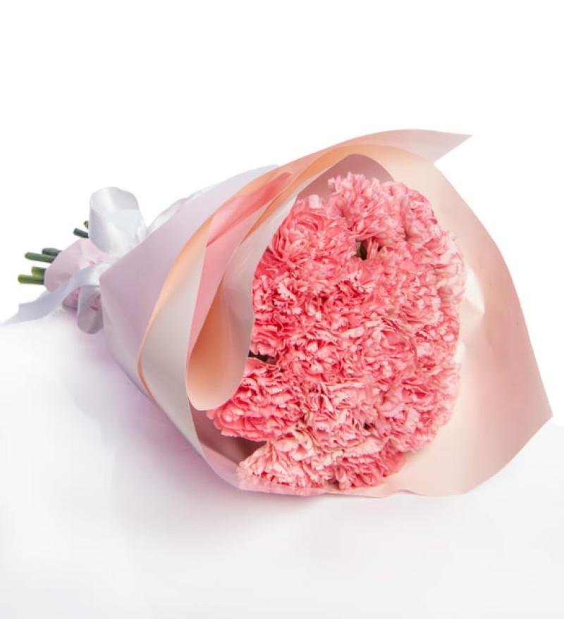 Pudra Bukette Pembe Karanfiller