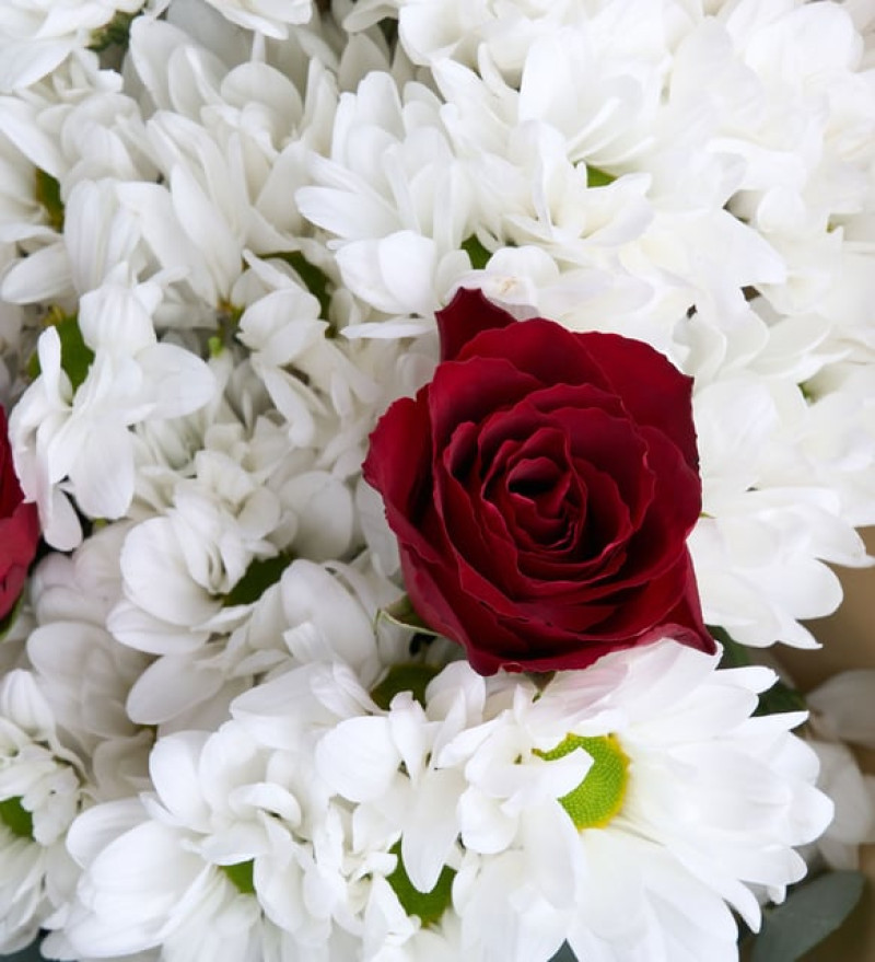 Yeşil Kahve Bukette Kırmızı Güller ve Papatyalar