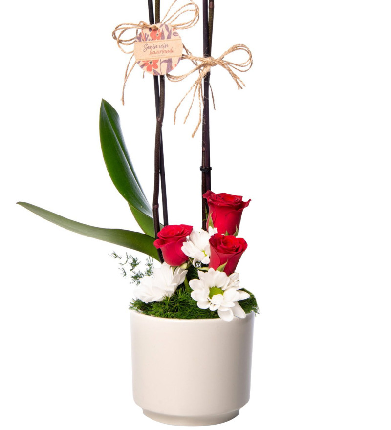 Ateş Kırmızısı Çift Dal Orkide & Kırmızı Gül