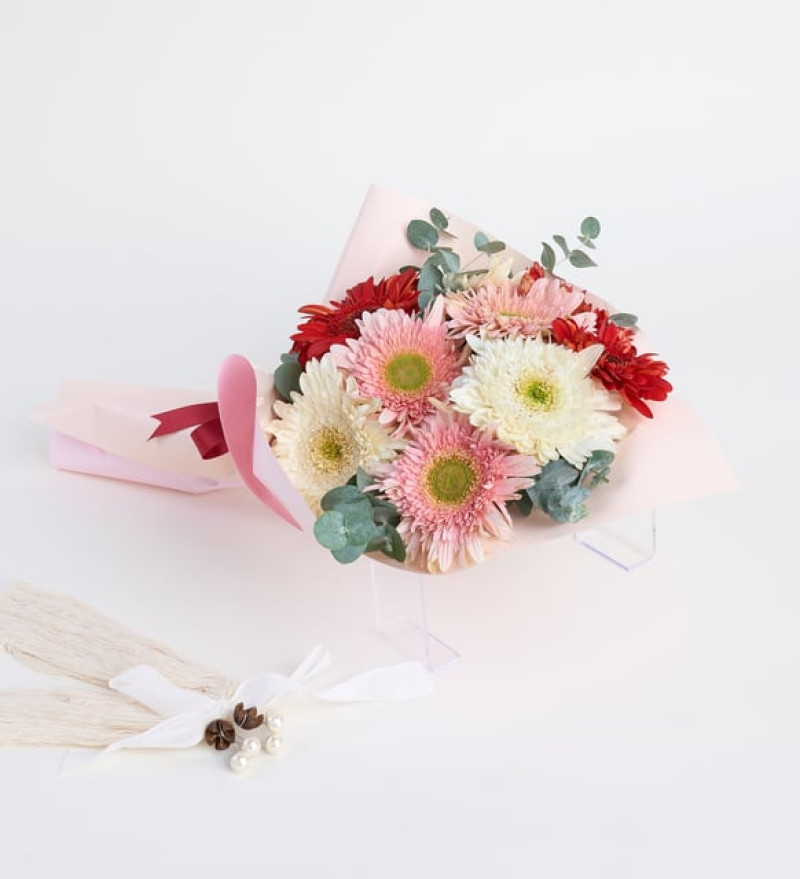 Pudra Bukette Kırmızı Pembe ve Beyaz Gerberalar